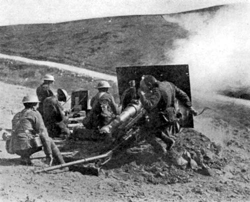 field gun kosturino